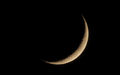 Announcement: Eid Al Adha in UAE