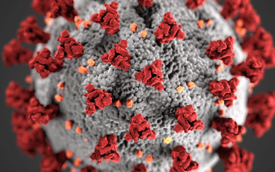 Precautions for coronavirus