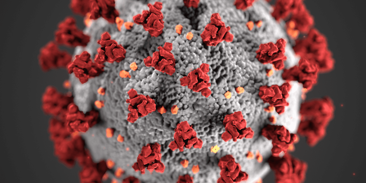 Precautions for coronavirus