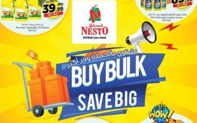 Save Big Offer- Nesto Hypermarket
