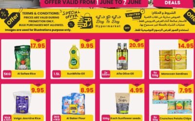 Summer Special Offer- Day to Day