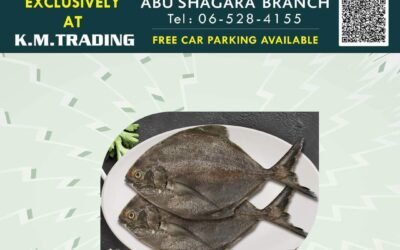 1 day Deals at KM Trading