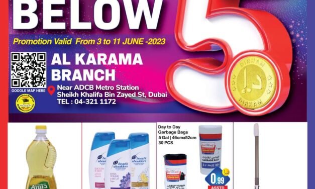 Day to Day Offers Below 5 Aed
