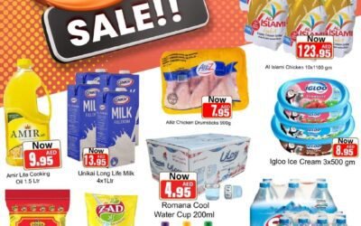 Hot Sale- Sajidha General Trading, Dhadna