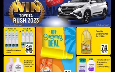 Hot Summer Deals- Day to Day