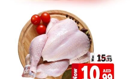 One Day Saver- Kenz Hypermarket